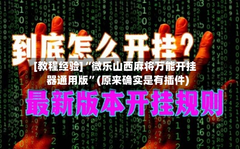 [教程经验]“微乐山西麻将万能开挂器通用版	”(原来确实是有插件)-第2张图片