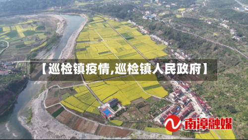 【巡检镇疫情,巡检镇人民政府】