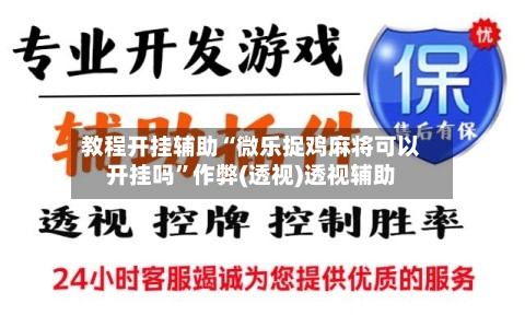 教程开挂辅助“微乐捉鸡麻将可以开挂吗”作弊(透视)透视辅助-第3张图片