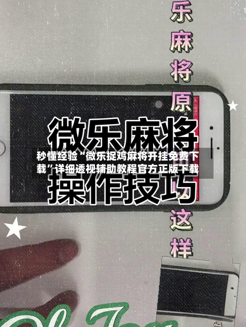 秒懂经验“微乐捉鸡麻将开挂免费下载”详细透视辅助教程官方正版下载-第1张图片