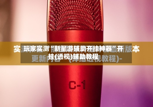 玩家实测“新星游辅助开挂神器”开挂(透视)辅助教程-第1张图片