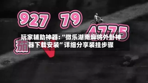 玩家辅助神器:“微乐湖南麻将外卦神器下载安装	”详细分享装挂步骤-第1张图片