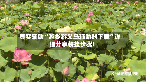 真实辅助“越乡游义乌辅助器下载”详细分享装挂步骤!-第3张图片