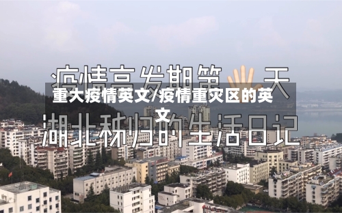 重大疫情英文/疫情重灾区的英文