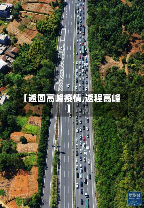 【返回高峰疫情,返程高峰】-第3张图片