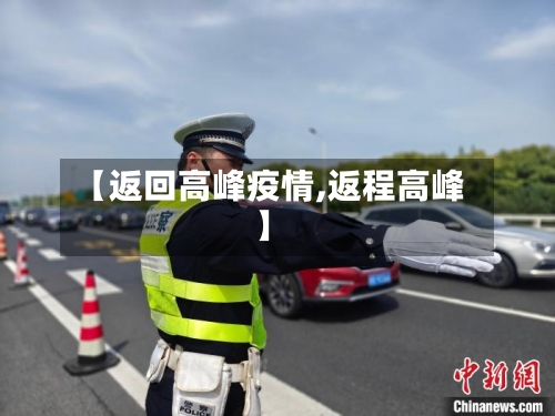 【返回高峰疫情,返程高峰】-第2张图片