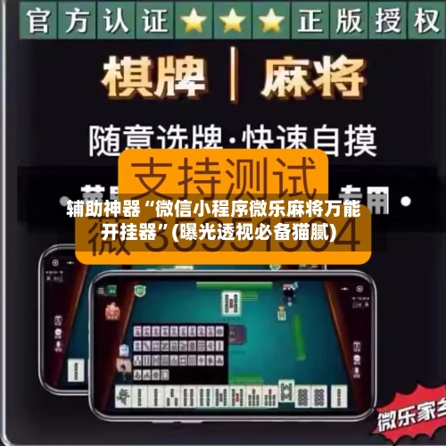 辅助神器“微信小程序微乐麻将万能开挂器”(曝光透视必备猫腻)-第3张图片