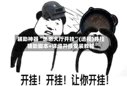 辅助神器“悠悠大厅开挂”(透视)开挂辅助脚本+详细开挂安装教程-第3张图片
