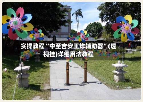 实操教程“中至吉安王炸辅助器”(透视挂)详细用法教程-第1张图片