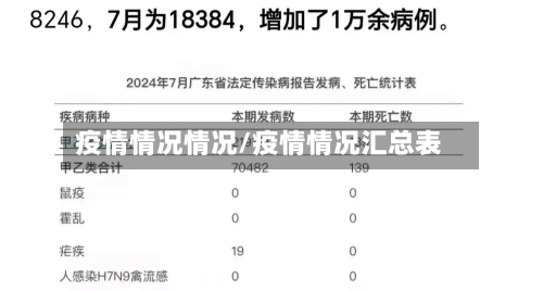 疫情情况情况/疫情情况汇总表-第2张图片