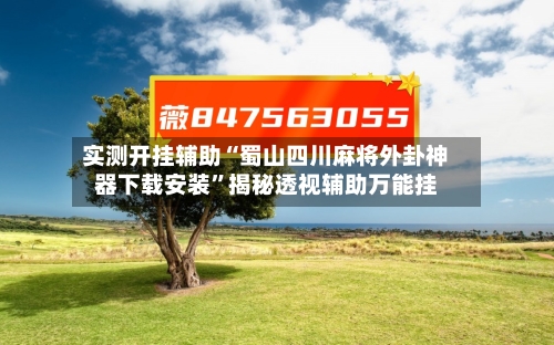 实测开挂辅助“蜀山四川麻将外卦神器下载安装”揭秘透视辅助万能挂-第2张图片