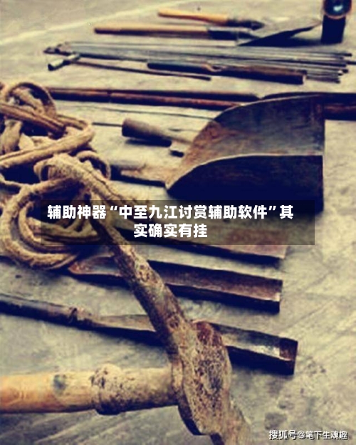 辅助神器“中至九江讨赏辅助软件”其实确实有挂