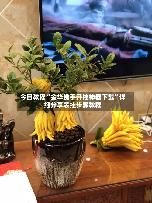 今日教程“金华佛手开挂神器下载”详细分享装挂步骤教程