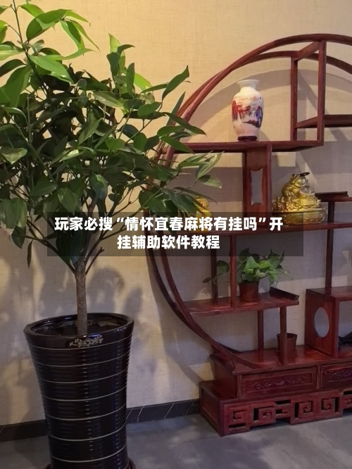 玩家必搜“情怀宜春麻将有挂吗”开挂辅助软件教程-第3张图片