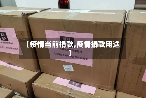 【疫情当前捐款,疫情捐款用途】-第2张图片