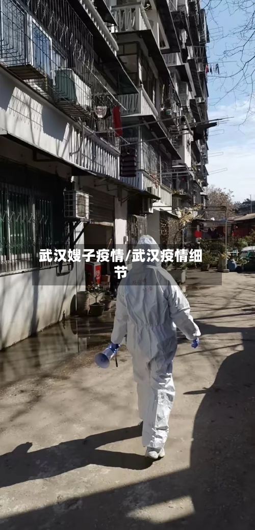 武汉嫂子疫情/武汉疫情细节-第3张图片