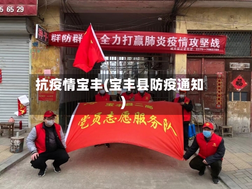 抗疫情宝丰(宝丰县防疫通知)-第1张图片
