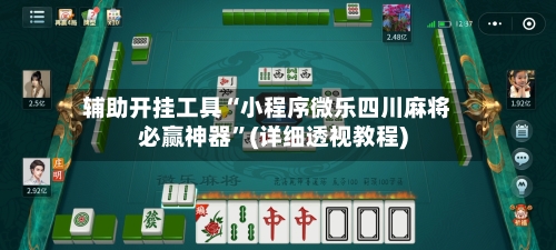 辅助开挂工具“小程序微乐四川麻将必赢神器”(详细透视教程)-第2张图片