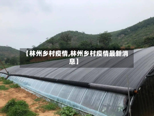 【林州乡村疫情,林州乡村疫情最新消息】