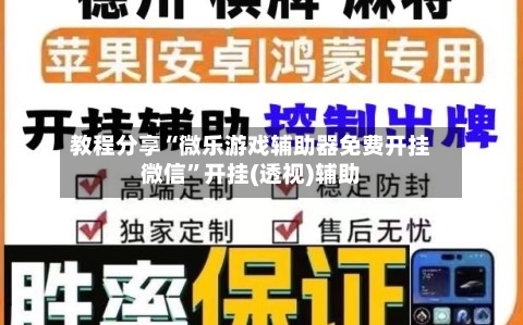 教程分享“微乐游戏辅助器免费开挂微信”开挂(透视)辅助-第1张图片