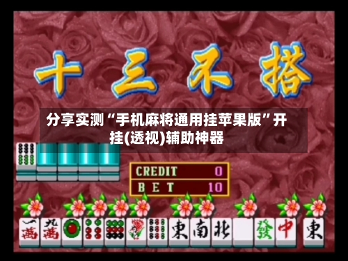 分享实测“手机麻将通用挂苹果版	”开挂(透视)辅助神器-第1张图片