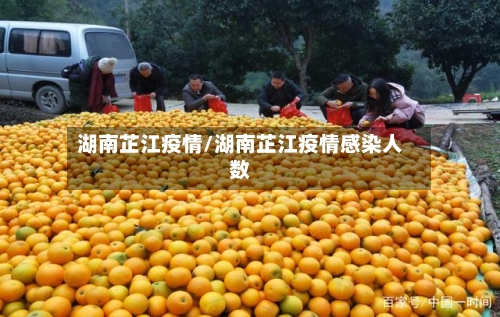 湖南芷江疫情/湖南芷江疫情感染人数-第1张图片