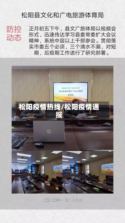 松阳疫情热线/松阳疫情通报-第1张图片