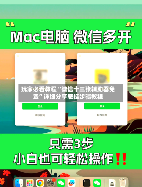 玩家必看教程“微信十三张辅助器免费”详细分享装挂步骤教程