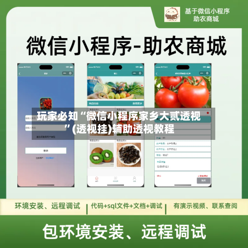 玩家必知“微信小程序家乡大贰透视”(透视挂)辅助透视教程