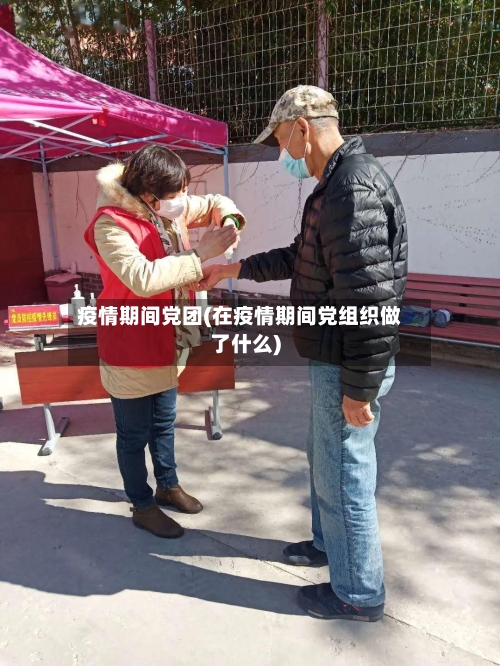疫情期间党团(在疫情期间党组织做了什么)
