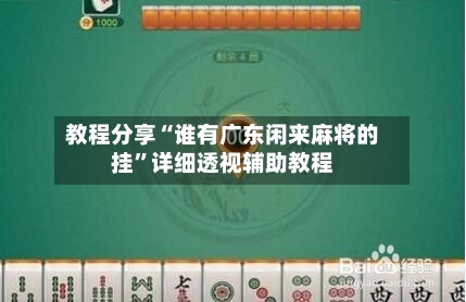 教程分享“谁有广东闲来麻将的挂”详细透视辅助教程