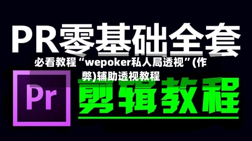 必看教程“wepoker私人局透视”(作弊)辅助透视教程-第2张图片