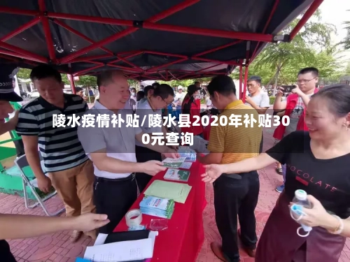 陵水疫情补贴/陵水县2020年补贴300元查询