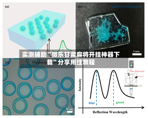 实测辅助“微乐甘肃麻将开挂神器下载”分享用挂教程-第3张图片