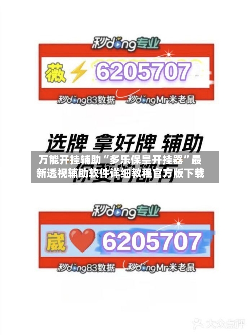 万能开挂辅助“多乐保皇开挂器”最新透视辅助软件详细教程官方版下载-第1张图片
