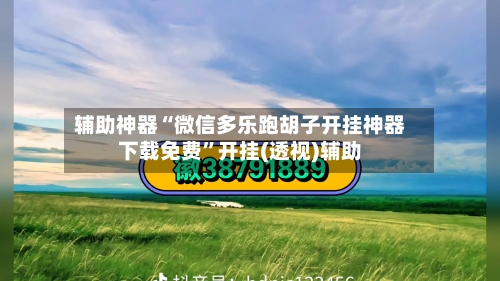 辅助神器“微信多乐跑胡子开挂神器下载免费”开挂(透视)辅助-第2张图片
