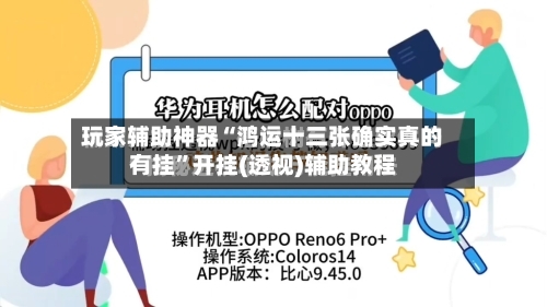玩家辅助神器“鸿运十三张确实真的有挂”开挂(透视)辅助教程-第2张图片
