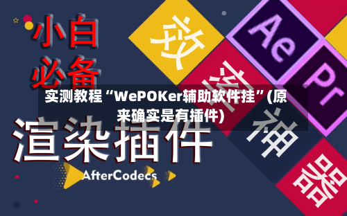 实测教程“WePOKer辅助软件挂”(原来确实是有插件)-第3张图片