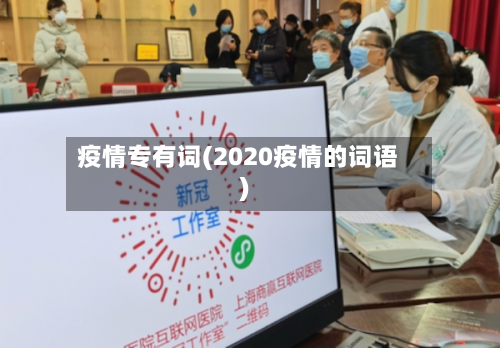 疫情专有词(2020疫情的词语)