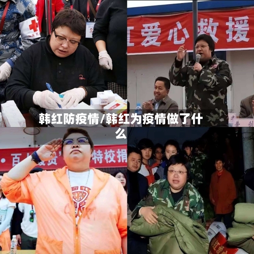 韩红防疫情/韩红为疫情做了什么-第2张图片