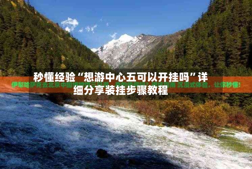 秒懂经验“想游中心五可以开挂吗”详细分享装挂步骤教程