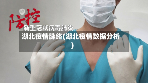 湖北疫情脉络(湖北疫情数据分析)-第1张图片