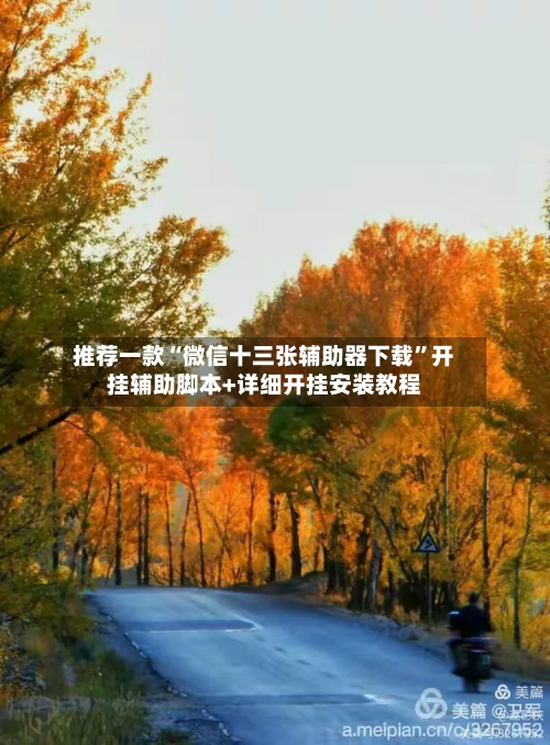 推荐一款“微信十三张辅助器下载	”开挂辅助脚本+详细开挂安装教程-第2张图片
