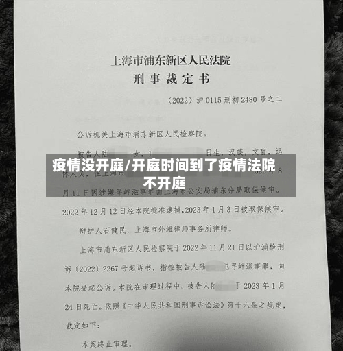 疫情没开庭/开庭时间到了疫情法院不开庭-第3张图片