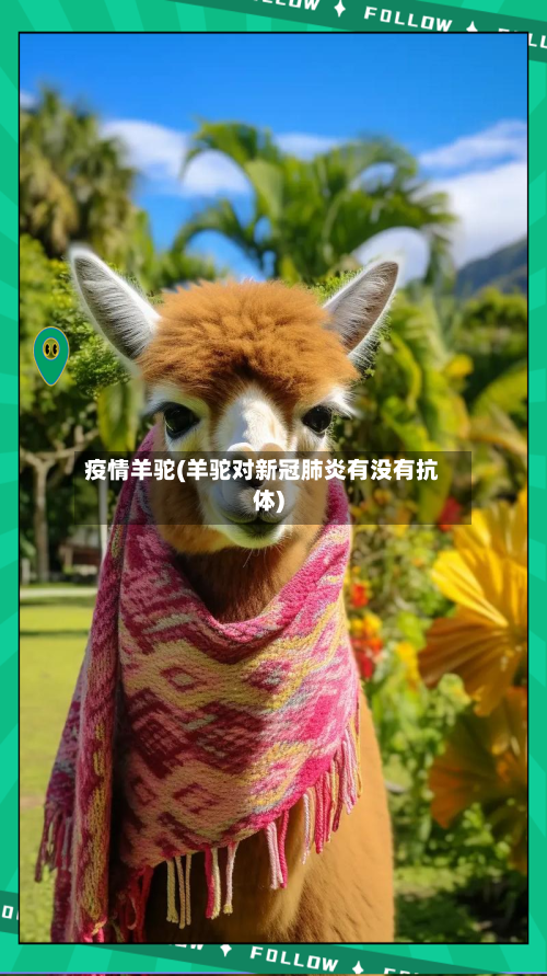 疫情羊驼(羊驼对新冠肺炎有没有抗体)
