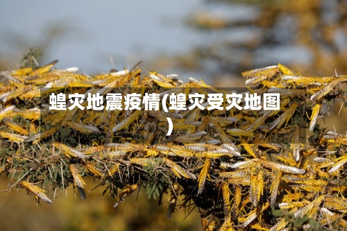 蝗灾地震疫情(蝗灾受灾地图)