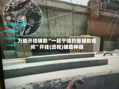 万能开挂辅助“一起宁德钓蟹辅助视频”开挂(透视)辅助神器-第2张图片
