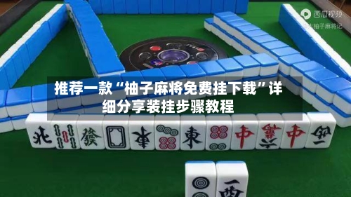 推荐一款“柚子麻将免费挂下载	”详细分享装挂步骤教程-第2张图片