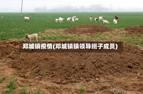邓城镇疫情(邓城镇镇领导班子成员)-第2张图片