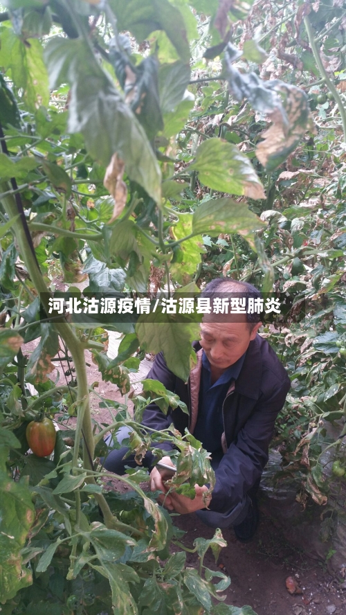 河北沽源疫情/沽源县新型肺炎